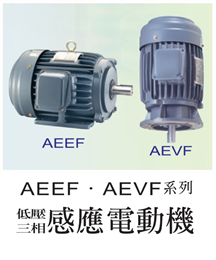 東元低壓三相感應電動機(AEEF / AEVF系列)
